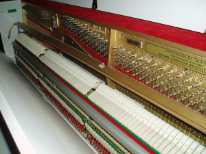 Tuning and maintenance of piano and grand piano